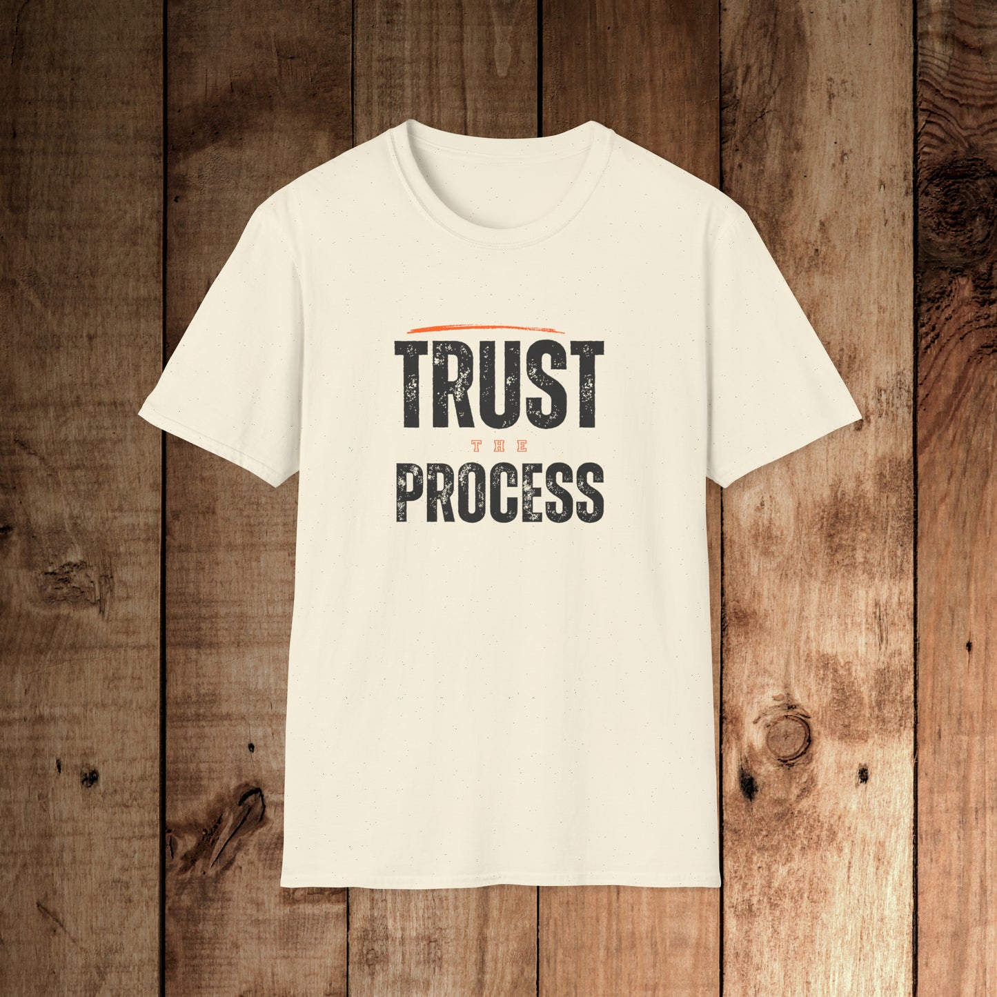 Trust the Process Unisex Softstyle T-Shirt
