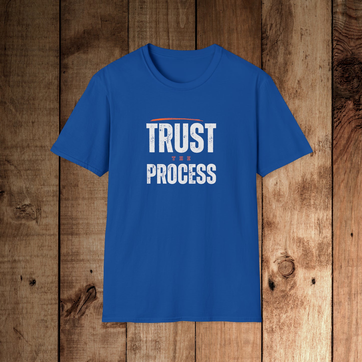 Trust the Process Unisex Softstyle T-Shirt