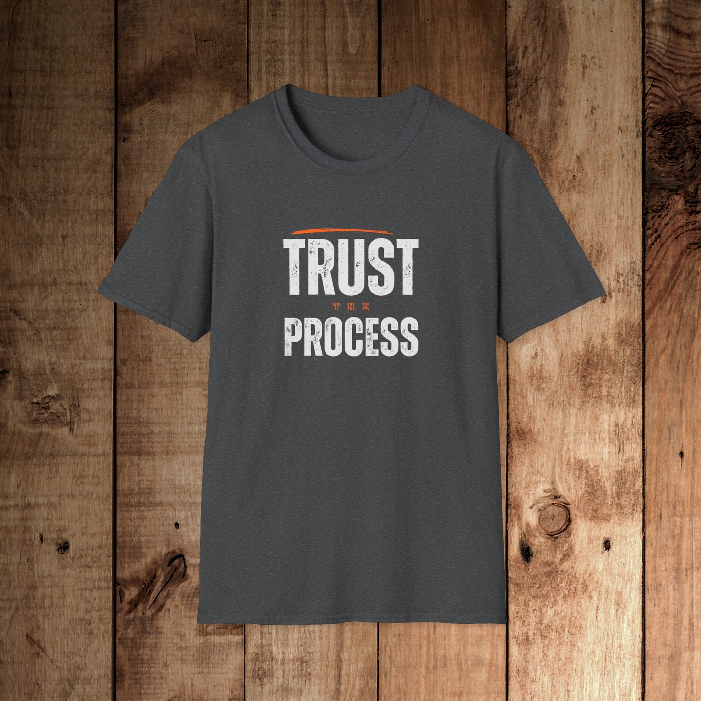 Trust the Process Unisex Softstyle T-Shirt