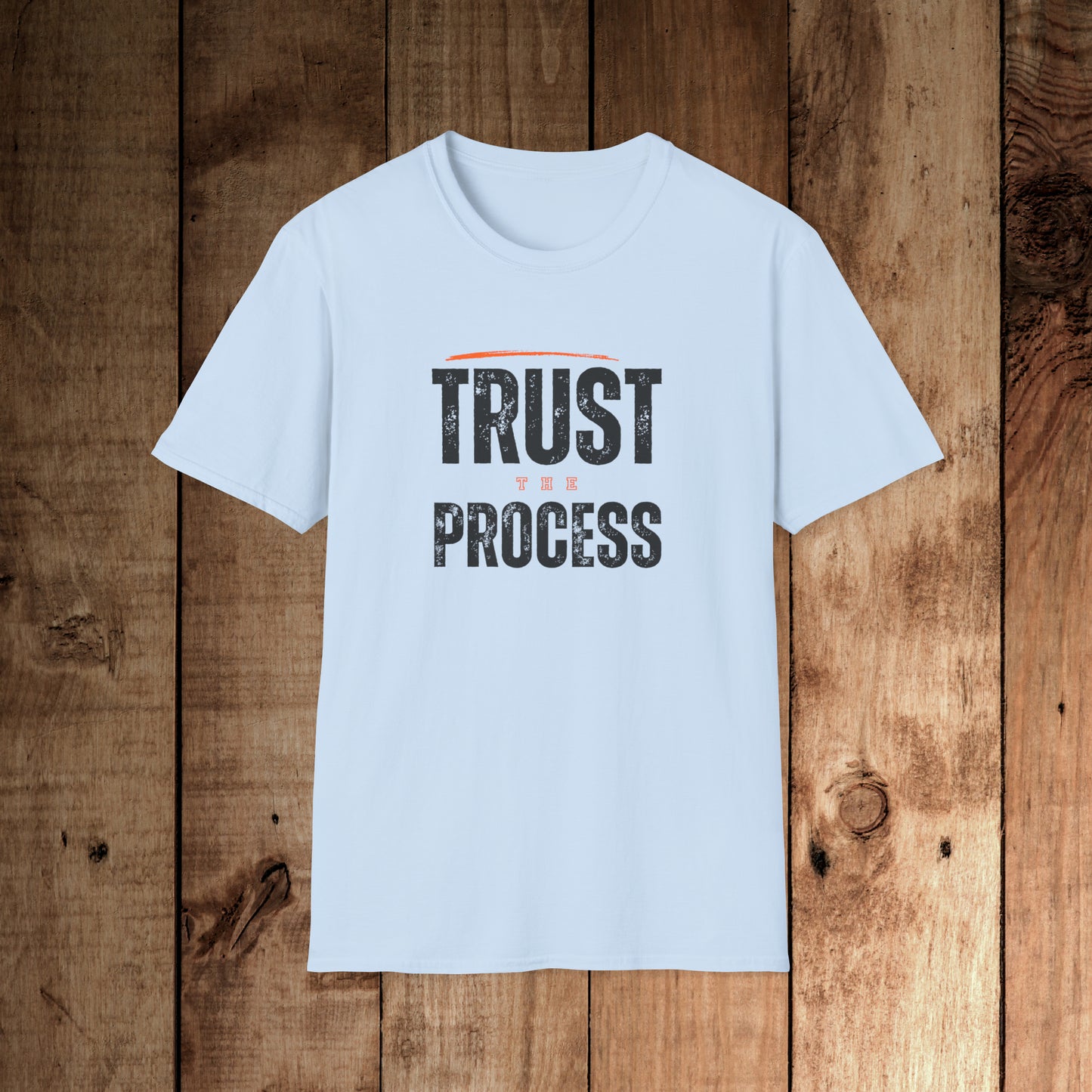Trust the Process Unisex Softstyle T-Shirt